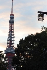 東京タワー