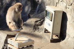 あれ？？俺の体重が...