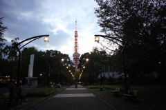 芝公園からの東京タワー！！