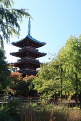上野動物園の五重の塔