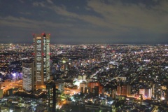 東京都庁からの夜景！！