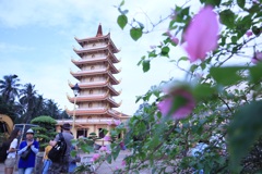 城と花