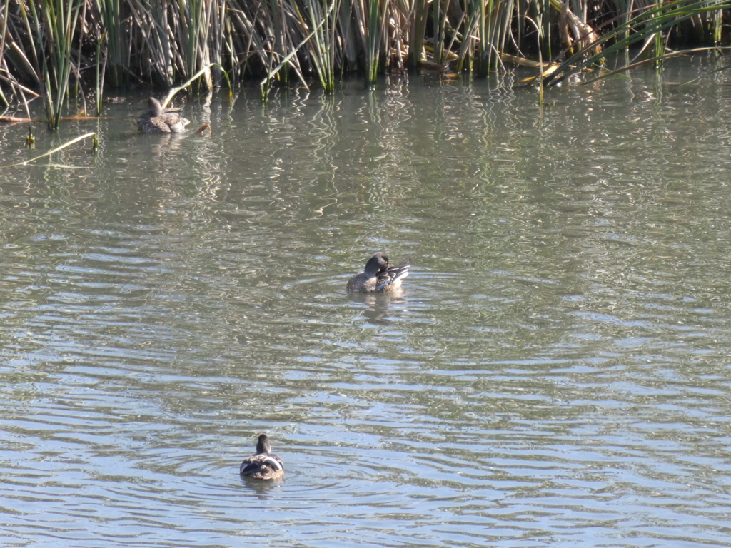 これは、だれ？