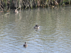 これは、だれ？