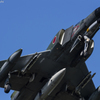 Good-bye PHANTOM