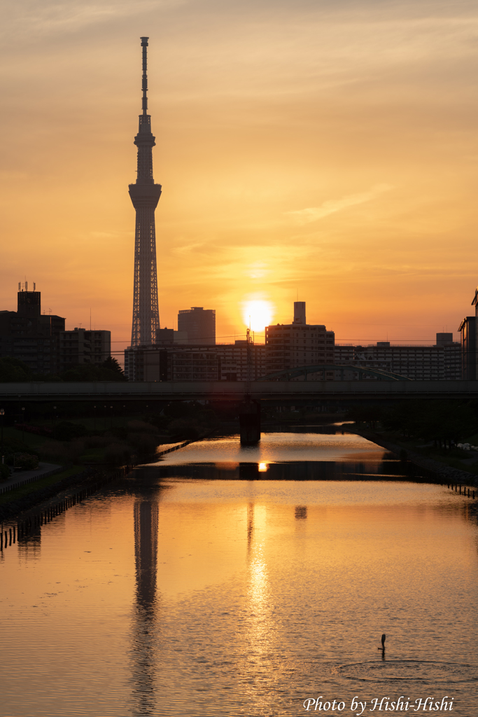 Sunset in Tokyo ～ 未知との遭遇