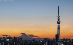 Sunset in Tokyo ～ The Phoenix