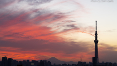 火の国より ～ Sunset in Tokyo