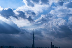 スカイツリーのある風景 ～ 天使と悪魔Ⅱ