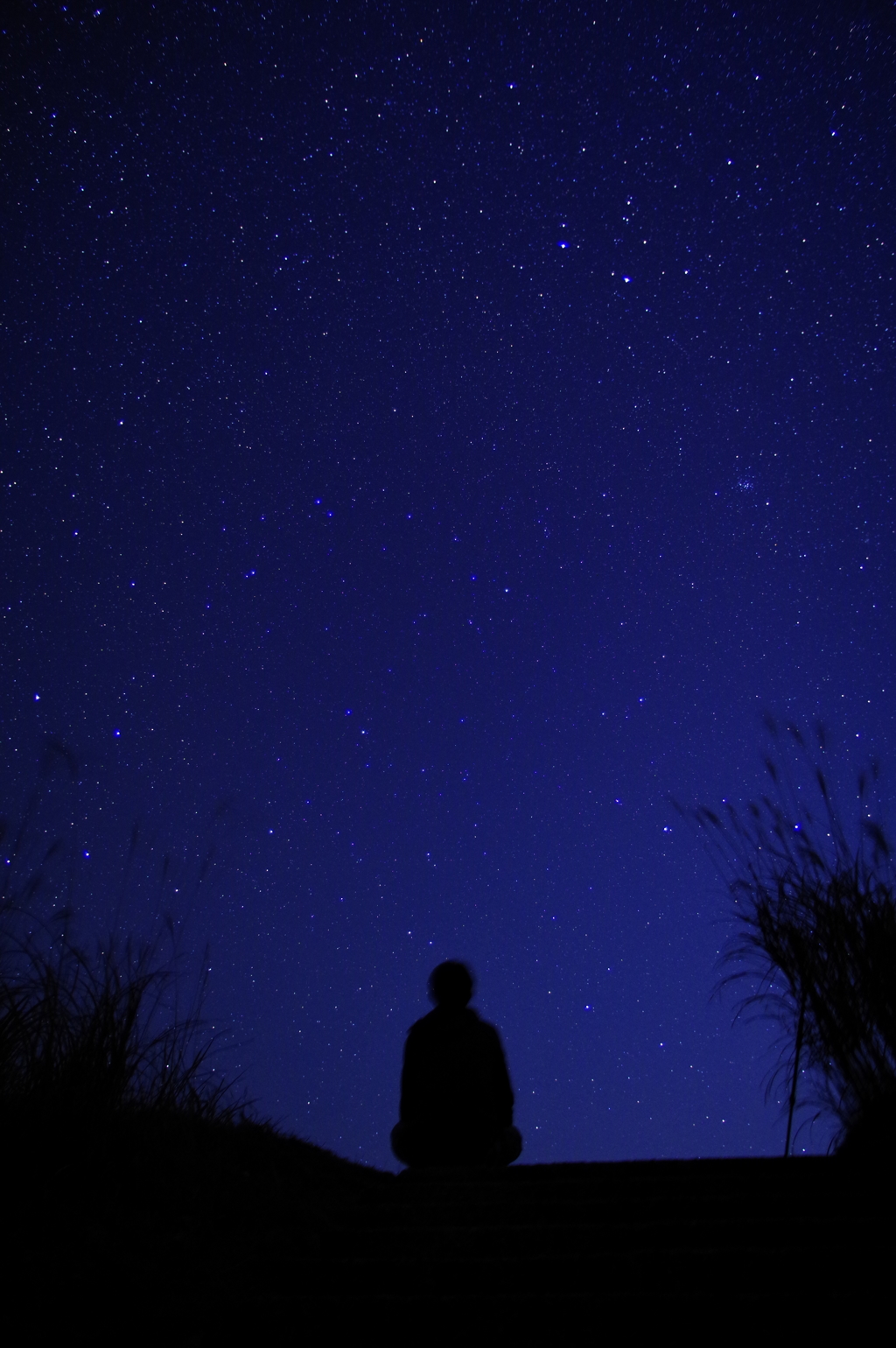 星を望む