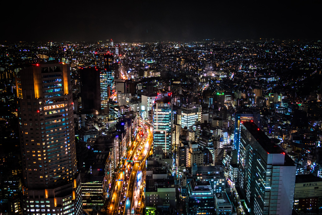 Tokyo metropolis
