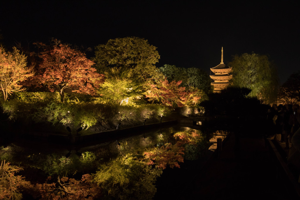 東寺　ライトアップ