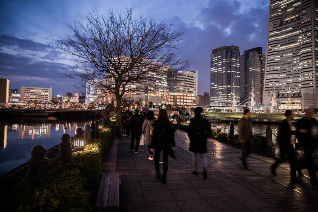 夜の散歩道