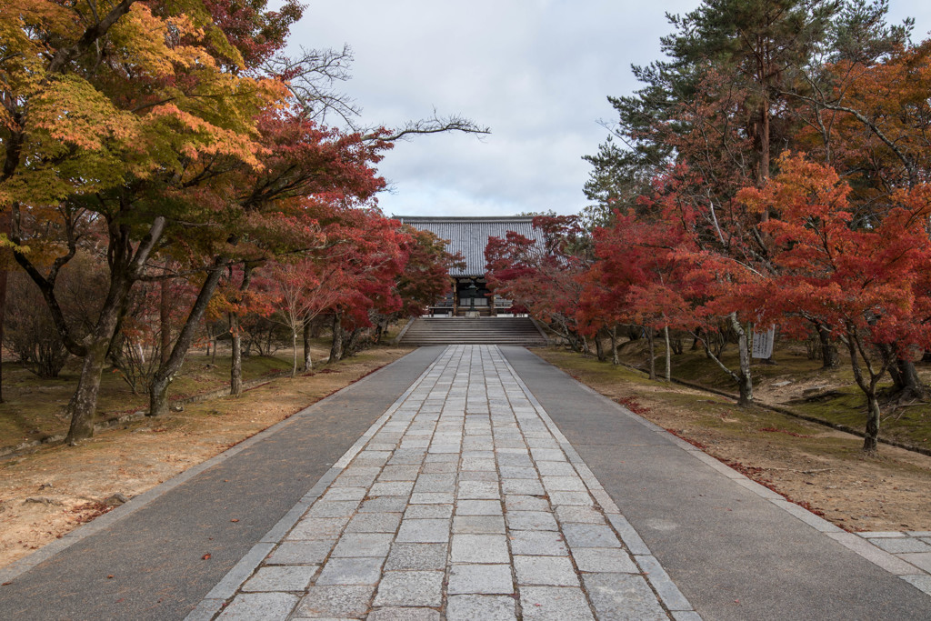 仁和寺の朝