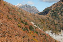 旧安房峠の紅葉。