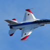 DSC_8299_DSC_8299