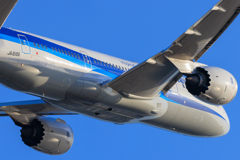 ANA