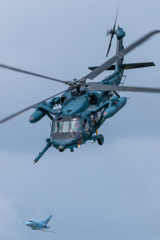 Rescue Wings 
