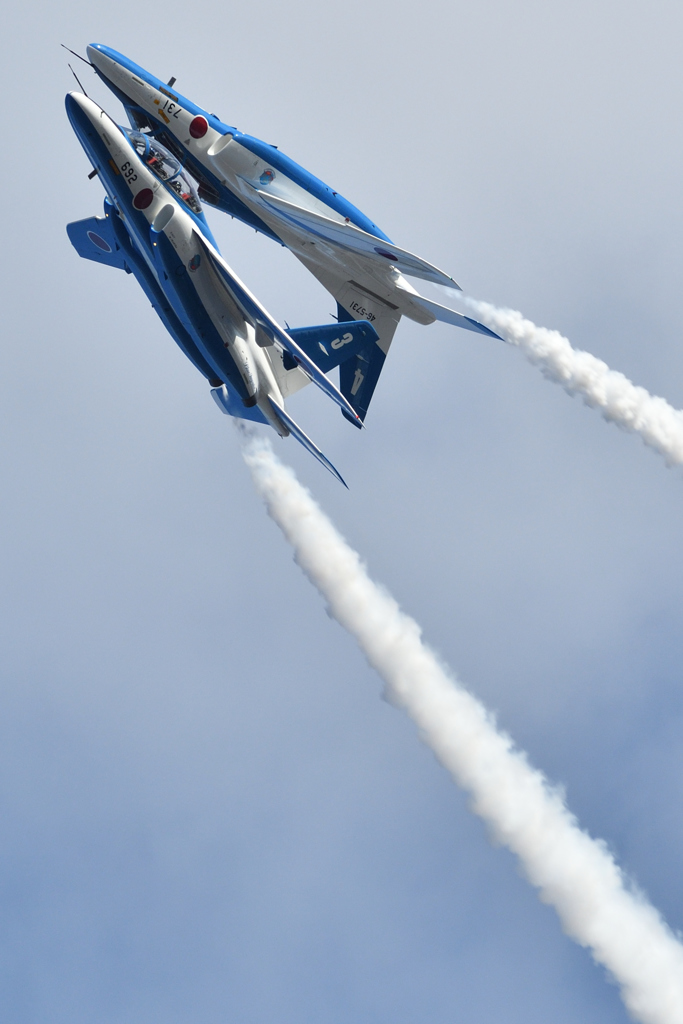 DSC_2494_DSC_2494