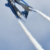 DSC_2494_DSC_2494