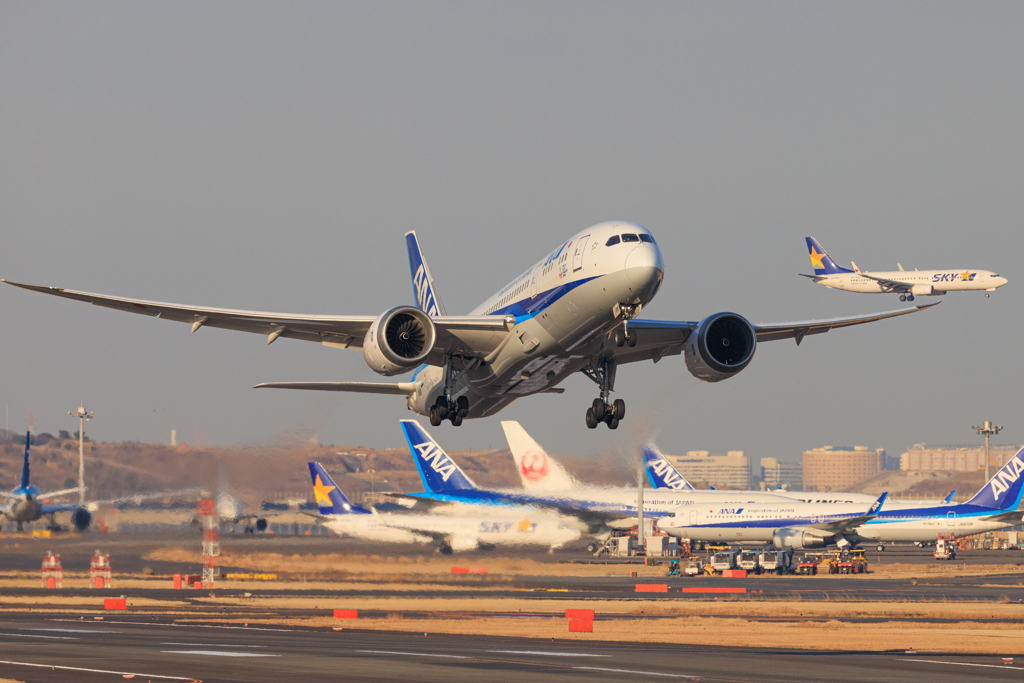 ANA×SKYMARK