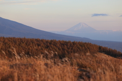 富士山を望む。