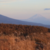 富士山を望む。