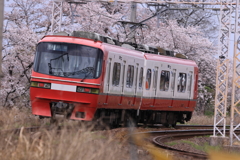 262A0883
