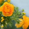 DSC_2066_DSC_2066