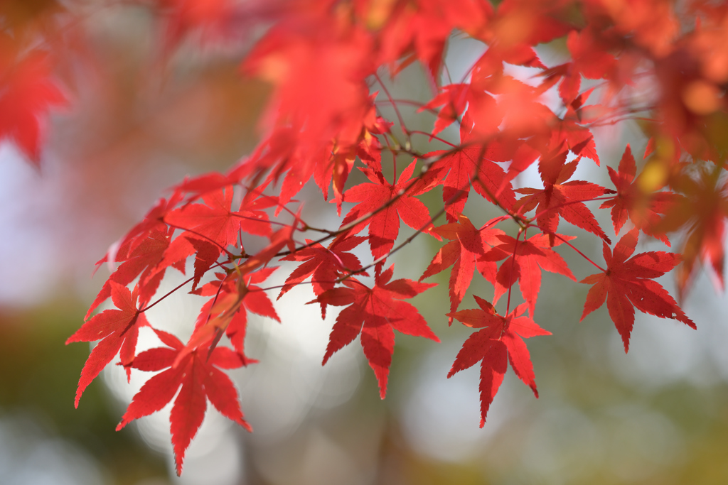 Z6　test9