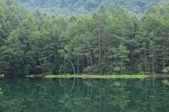 池