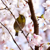 DSC_7028_DSC_7028