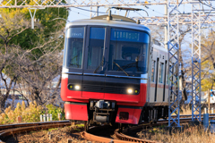 視線入力テスト。