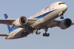 ANA