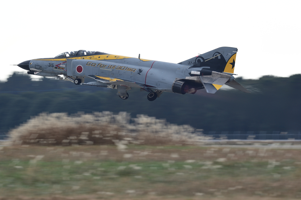 DSC_2923_DSC_2923