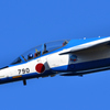 DSC_2336_DSC_2336