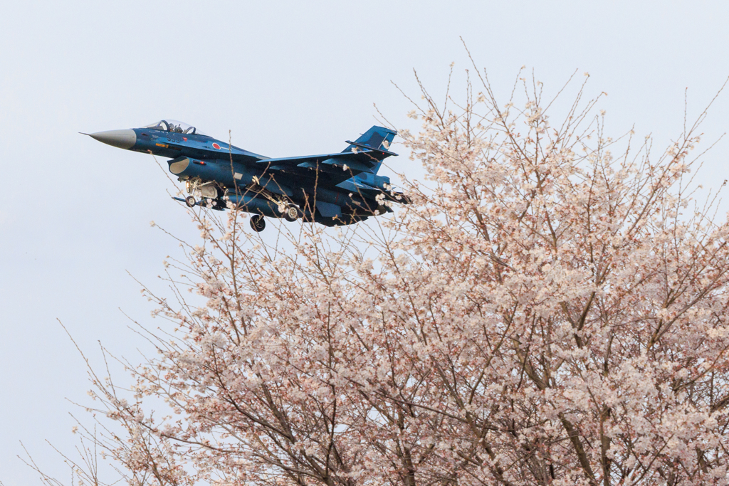 F-2とさくら