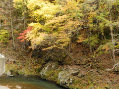 岩手　久慈渓流にて