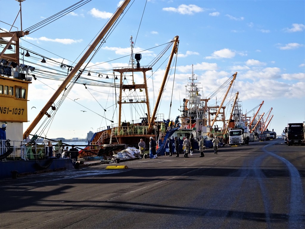 DSC00071