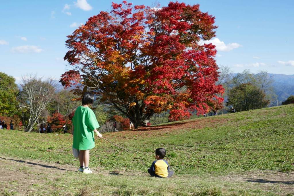 兄弟の時間