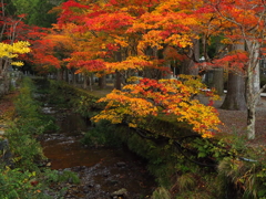 奥の院  薄暮の錦色
