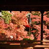 京都の紅葉（毘沙門堂）