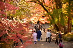 京都の紅葉（毘沙門堂）