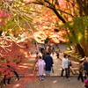 京都の紅葉（毘沙門堂）