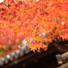 京都の紅葉（南禅寺）