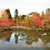 京都の紅葉（永観堂）