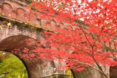 京都の紅葉（南禅寺）