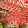 京都の紅葉（南禅寺）