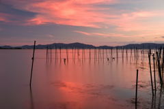 琵琶湖の夕景