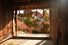 京都の紅葉（毘沙門堂）